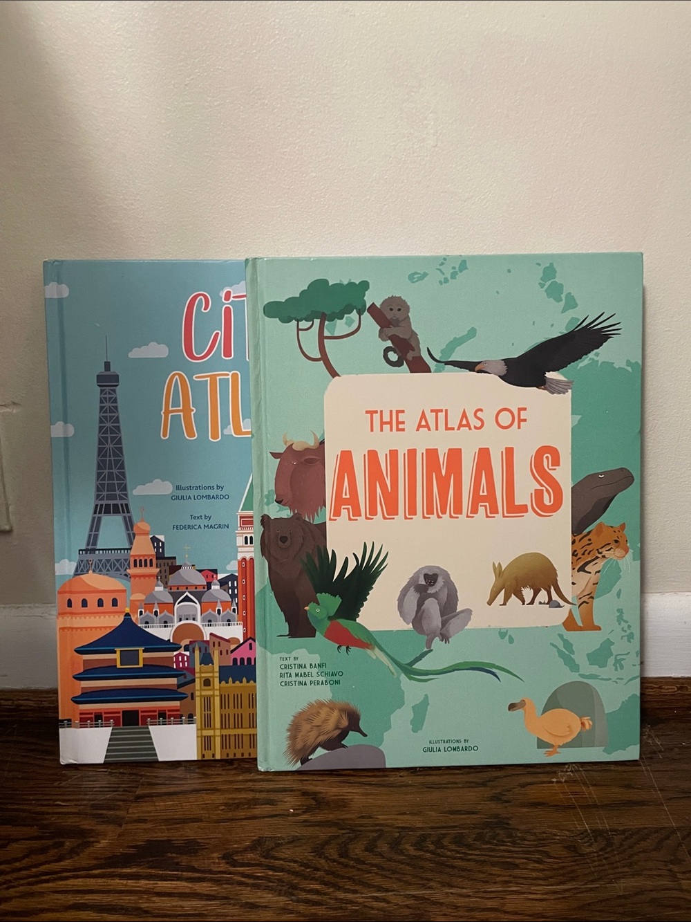 The Atlas of Animals - Green Illustrated Children's Book